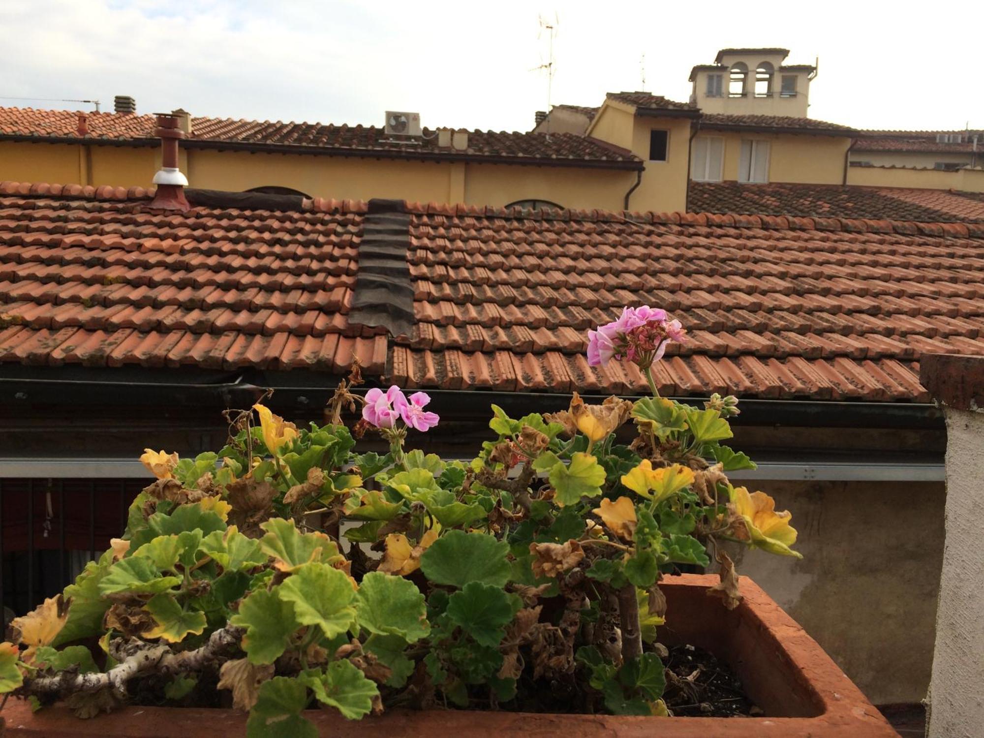 Hotel Il Bargellino Florencja Zewnętrze zdjęcie